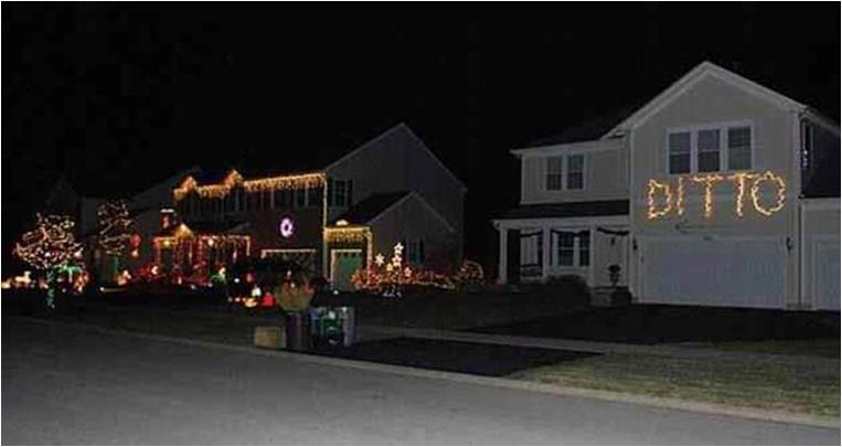ditto_lights_763