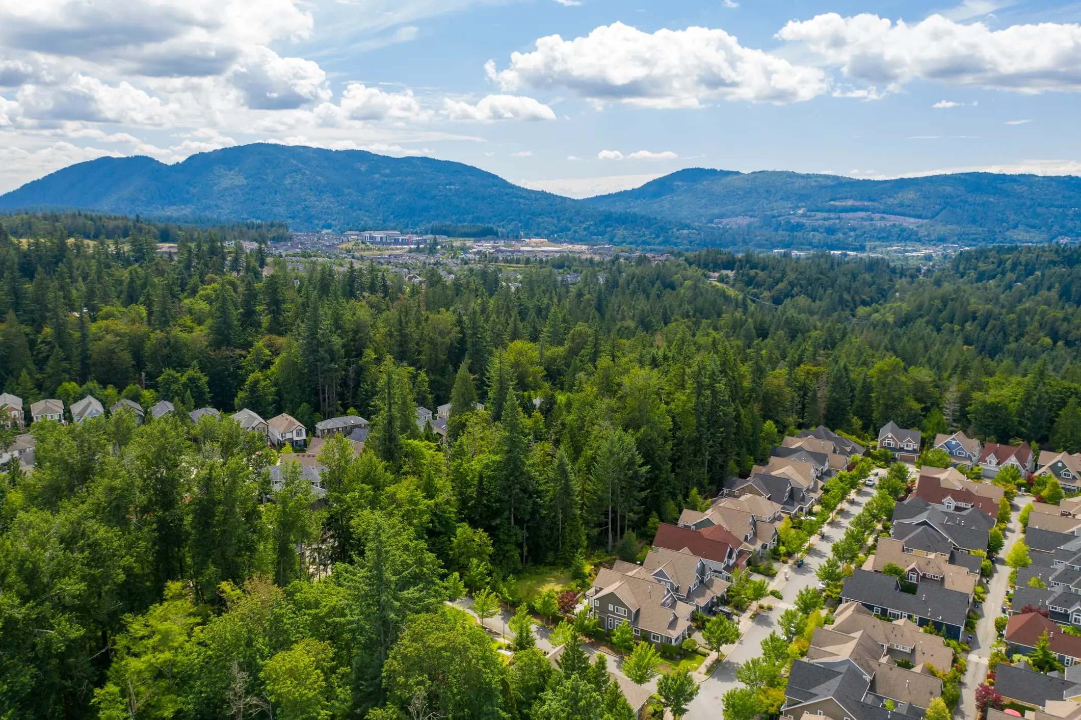 Luxury Homes and Real Estate in Sammamish